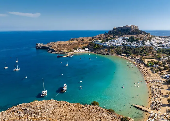 فيلة 11 Satori *